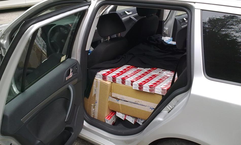 2011-8-17-1433110815_paserak_cigaret (5).jpg